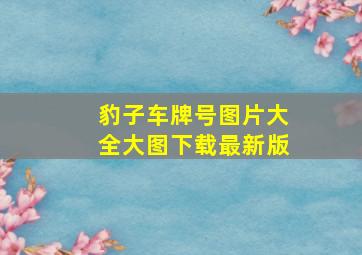 豹子车牌号图片大全大图下载最新版