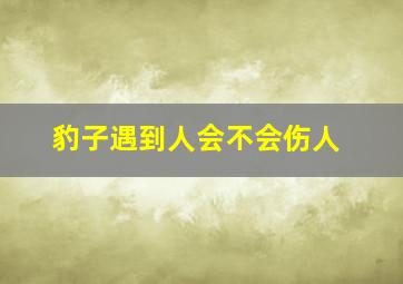 豹子遇到人会不会伤人