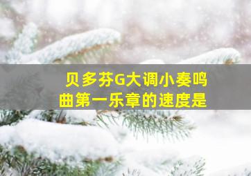 贝多芬G大调小奏鸣曲第一乐章的速度是