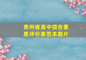 贵州省高中综合素质评价表范本图片