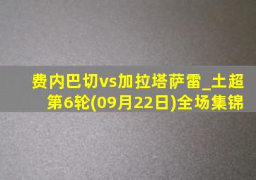 费内巴切vs加拉塔萨雷_土超第6轮(09月22日)全场集锦