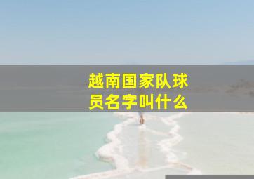 越南国家队球员名字叫什么