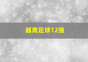 越南足球12强