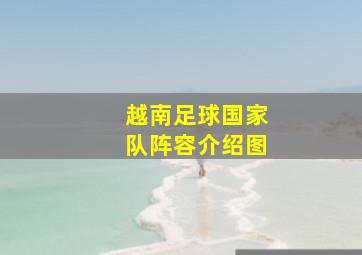 越南足球国家队阵容介绍图