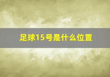 足球15号是什么位置