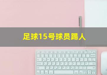 足球15号球员踢人