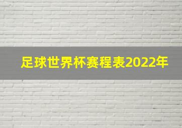 足球世界杯赛程表2022年