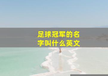 足球冠军的名字叫什么英文