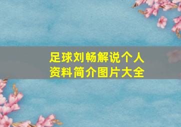 足球刘畅解说个人资料简介图片大全