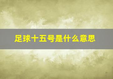 足球十五号是什么意思