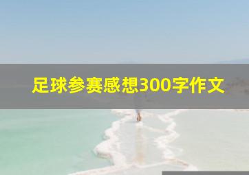 足球参赛感想300字作文