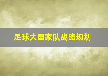 足球大国家队战略规划