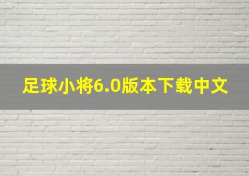 足球小将6.0版本下载中文