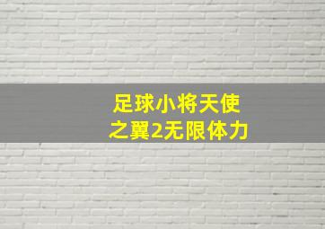 足球小将天使之翼2无限体力