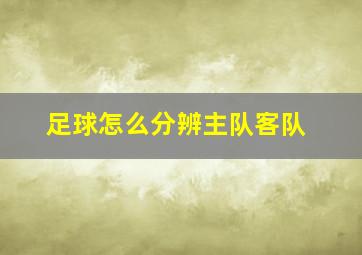 足球怎么分辨主队客队