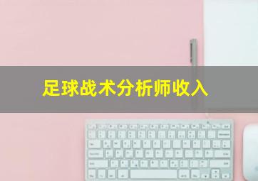 足球战术分析师收入