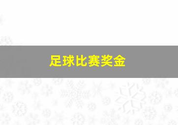 足球比赛奖金