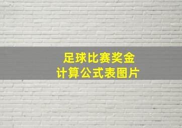 足球比赛奖金计算公式表图片