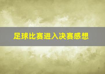 足球比赛进入决赛感想