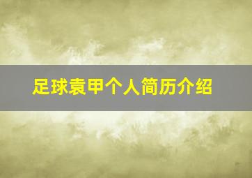 足球袁甲个人简历介绍