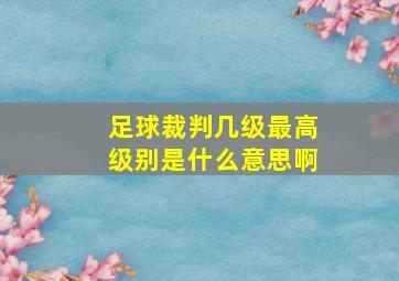 足球裁判几级最高级别是什么意思啊