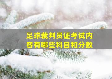 足球裁判员证考试内容有哪些科目和分数