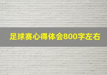 足球赛心得体会800字左右