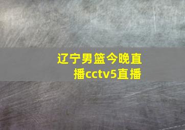 辽宁男篮今晚直播cctv5直播