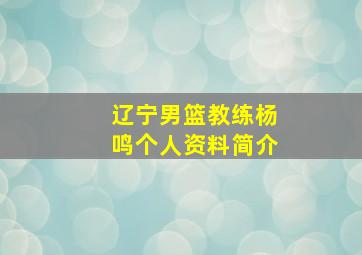 辽宁男篮教练杨鸣个人资料简介