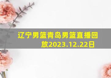 辽宁男篮青岛男篮直播回放2023.12.22日