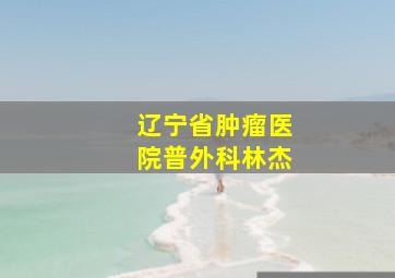 辽宁省肿瘤医院普外科林杰