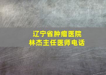 辽宁省肿瘤医院林杰主任医师电话