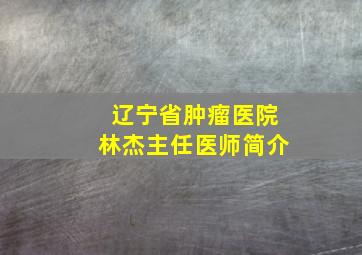 辽宁省肿瘤医院林杰主任医师简介