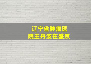 辽宁省肿瘤医院王丹波在盛京