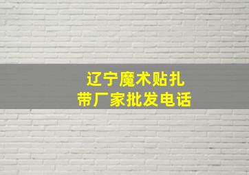 辽宁魔术贴扎带厂家批发电话