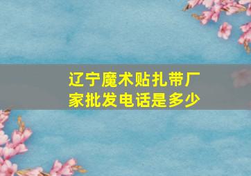 辽宁魔术贴扎带厂家批发电话是多少