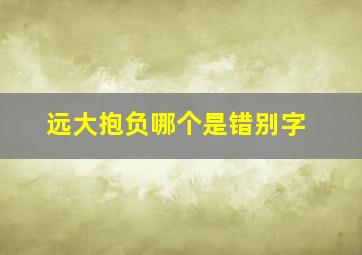 远大抱负哪个是错别字