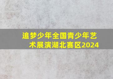 追梦少年全国青少年艺术展演湖北赛区2024