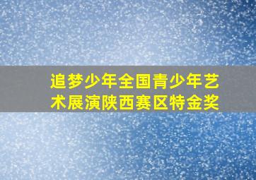 追梦少年全国青少年艺术展演陕西赛区特金奖