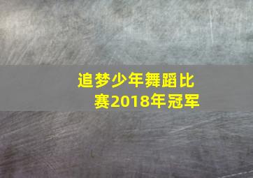 追梦少年舞蹈比赛2018年冠军