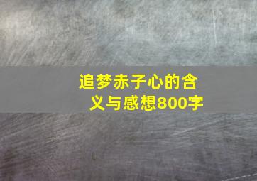 追梦赤子心的含义与感想800字