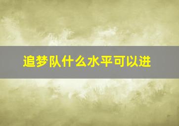 追梦队什么水平可以进