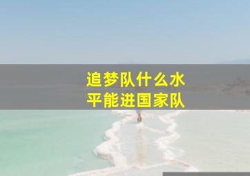 追梦队什么水平能进国家队