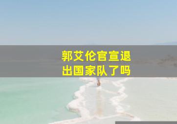 郭艾伦官宣退出国家队了吗