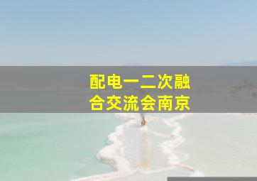 配电一二次融合交流会南京