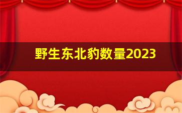 野生东北豹数量2023