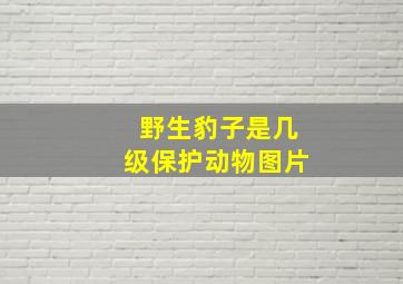 野生豹子是几级保护动物图片