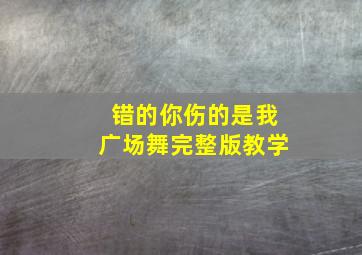 错的你伤的是我广场舞完整版教学