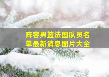 阵容男篮法国队员名单最新消息图片大全