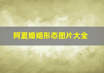 阿夏婚姻形态图片大全